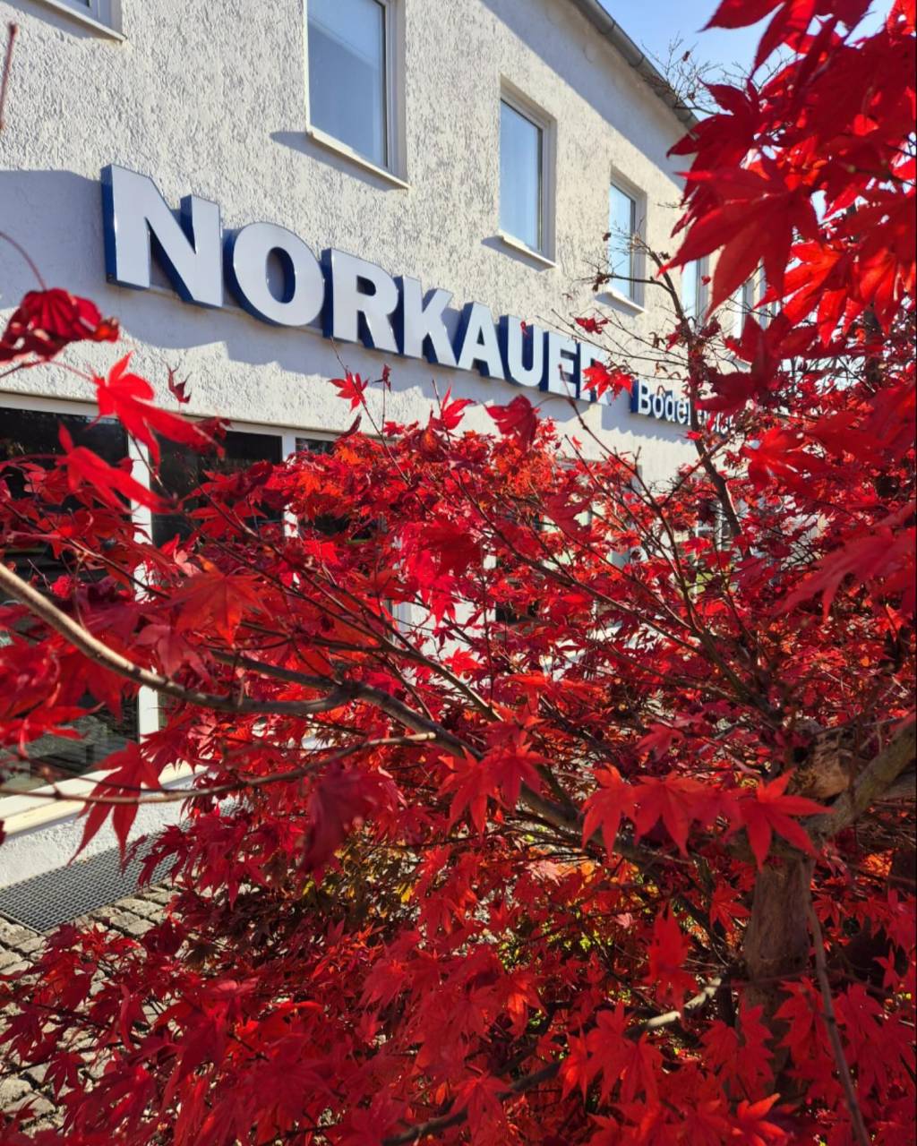 Instagram post from norkauer. This post is in position 1.